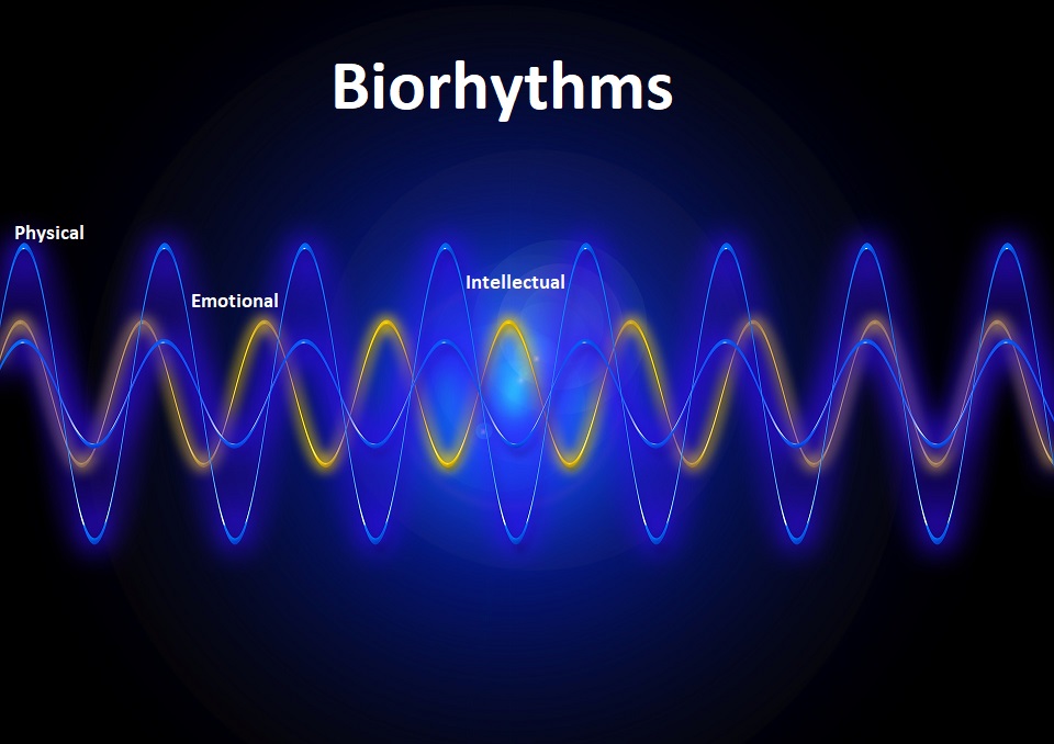 Biorhythms